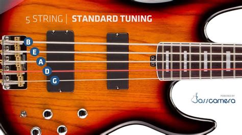Bass Tuning - 5 Strings Standard (B,E,A,D,G) [HD] - YouTube