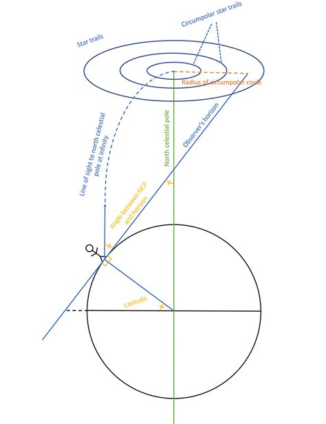 Circumpolar Stars And Constellations In The Northern Hemisphere