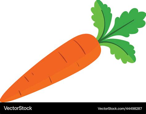 Clipart carrot Royalty Free Vector Image - VectorStock