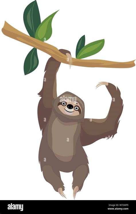 Sloth on tree branch icon. Cartoon of sloth on tree branch vector icon for web design isolated ...