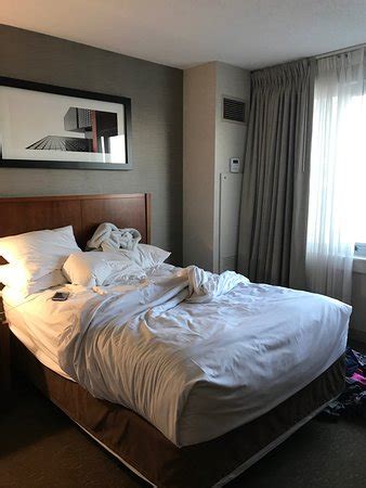 Hyatt Rosemont $99 ($̶1̶2̶3̶) - UPDATED 2018 Prices & Hotel Reviews - IL - TripAdvisor