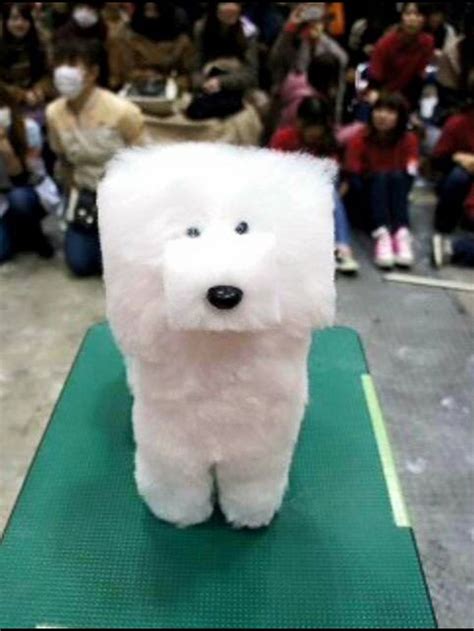 20 Embarrassed Pets Who Should Fire Their Groomers Animals And Pets, Funny Animals, Cute Animals ...