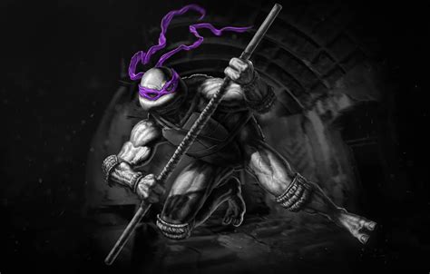 Tmnt Donatello Art