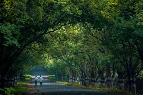 Best Road Trips to Visit Unexplored Places in Tamil Nadu - Unseen Places in Tamil Nadu