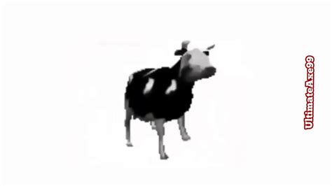 Dancing Cow Meme - YouTube