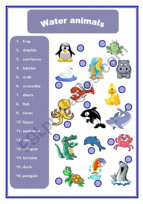 Water animals - ESL worksheet by AACG