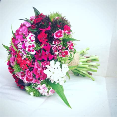 Beautiful bridal bouquet celebrating Sweet Williams | Spring wedding flowers, Beautiful bridal ...