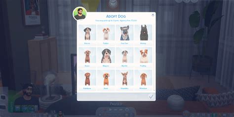 Was having my Sim adopt a dog since he was finally able to buy a nicer apartment and the one dog ...