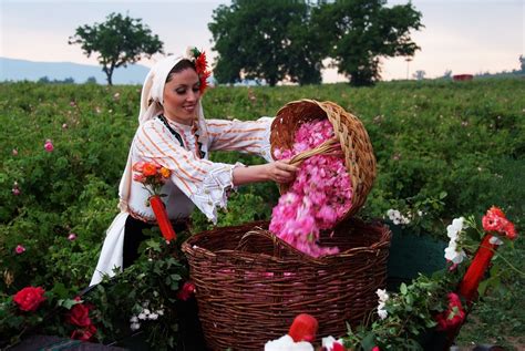 The rose festival in Kazanlak starts on 13th of May - Bulgaria Travel News