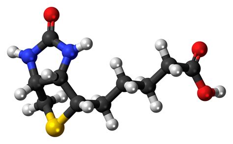 Role Of Biotin In Facial Hair Growth : What’s The Catch? Find Out Here