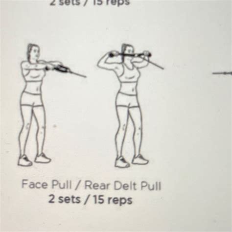 Face Pull by Stacey S. - Exercise How-to - Skimble