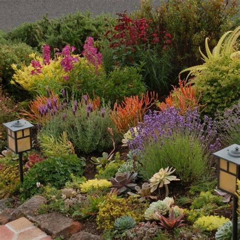 Drought Tolerant Flowering Plants Zone 9 - 9 Best Drought-Tolerant Plants - Drought-Resistant ...