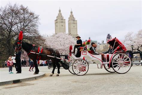 Standard Central Park Horse Carriage Ride 2019 - New York City