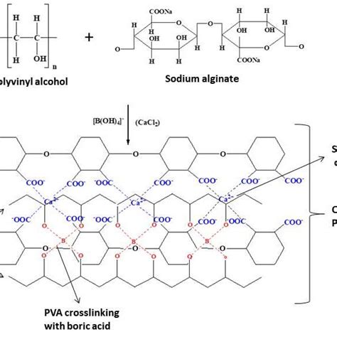 (PDF) CHEMICAL MODIFICATIONS OF ALGINATE AND ITS DERIVATIVES