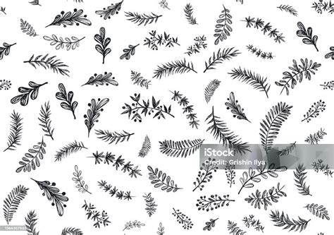 Branches Collection Hand Drawn Vector Stock Illustration - Download ...