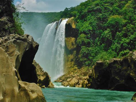 3 unknown spots that will make you visit the jungle in Mexico. - LocalAdventures