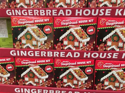 Costco Gingerbread House Kit 2024 - Renie Delcine