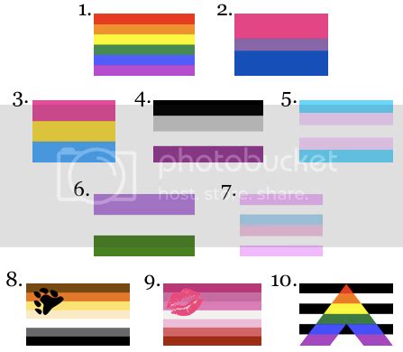 LGBT Flags Quiz - By ForYourBroats