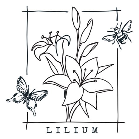 Black And White Drawing Of A Lily With Bees And Butterflies PNG & SVG Design For T-Shirts