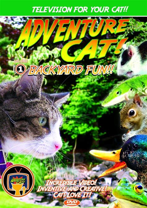 cat Media Adventure Cat DVD Volume 1: Backyard Fun ^^ You will love ...