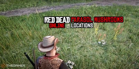 nachahmen Chance Mathematiker red dead redemption 2 parasol mushroom location Meinung ...