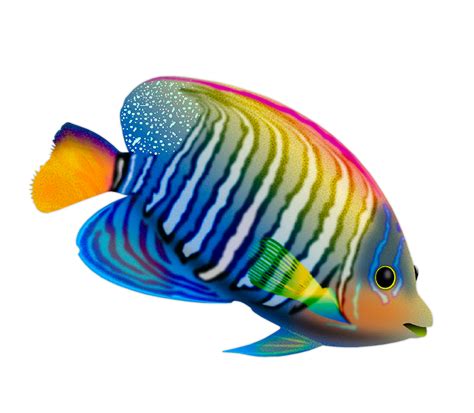 056.png | Fish, Colorful fish, Fish art