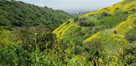 10 Best Hikes and Trails in Puente Hills Preserve | AllTrails