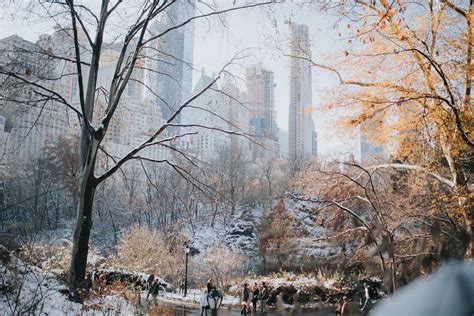 New York City in Winter: Things to see and do – Bright Lights of America