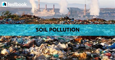 Causes Of Soil Pollution Environment Notes - vrogue.co