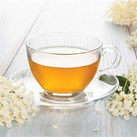 Elderflower Tea Recipe | Elderflower tea, Elderflower tea recipe, Tea recipes