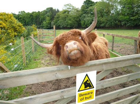 ALMOND VALLEY HERITAGE CENTRE - Millfield, Livingston, West Lothian, United Kingdom - Updated ...