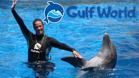 Dolphin Show at Gulf World in Panama City Beach - YouTube