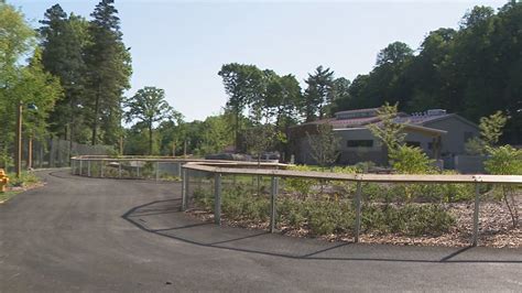 Lion back in den after briefly escaping into hallway at Seneca Park Zoo