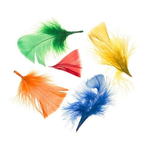 Rainbow Colours Craft Feathers | ubicaciondepersonas.cdmx.gob.mx