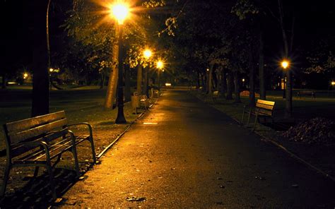 Park during night HD wallpaper | Wallpaper Flare