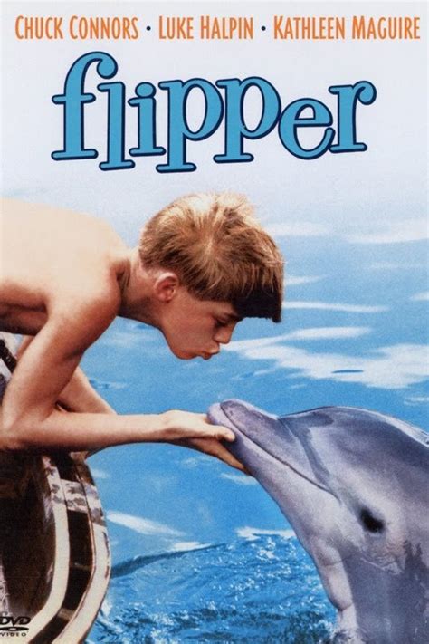 FLIPPER Theme ( english/german) - YouTube