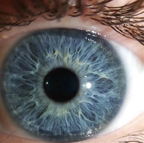 closeup eye reference | Eye close up, Blue eyes aesthetic, Photos of eyes