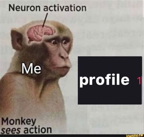 Neuron activation profile Monkey sees action - iFunny