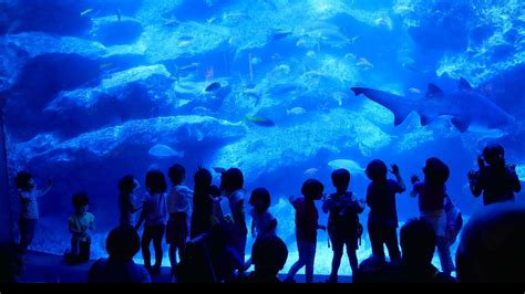 Tokyo Sumida Aquarium