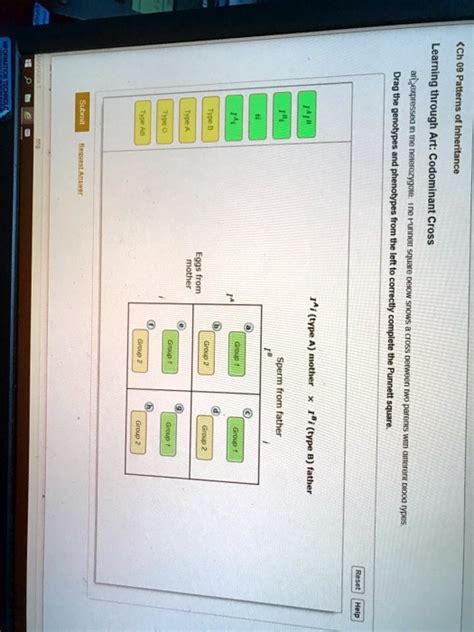 SOLVED: Learning 60 43> Drag 1 V | Art: outlining phenotypes from left ...