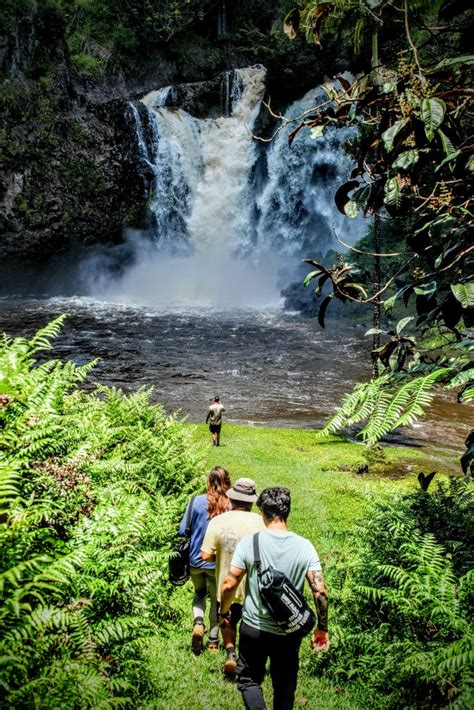 Media | Hawaii Hiking Tours