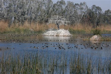 Yamuna Biodiversity Park | Sahapedia