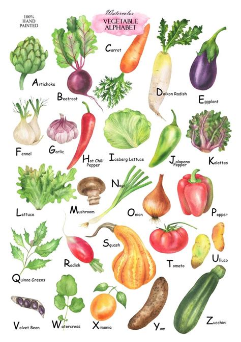 Watercolor Vegetable Alphabet Clipart, Vegetables ABC, Alphabet Poster ...