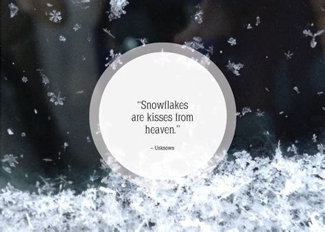 First Snow Quotes Funny - ShortQuotes.cc