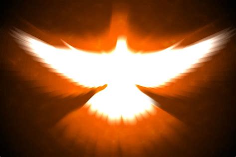 11 Spiritual Meanings Of Dove On Fire (It's Bad Luck)