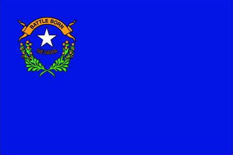 Nylglo Nevada State Flag, 3x5 Ft 143360 | Zoro