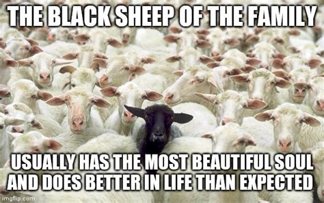 Black Sheep of The Family Latest Memes - Imgflip