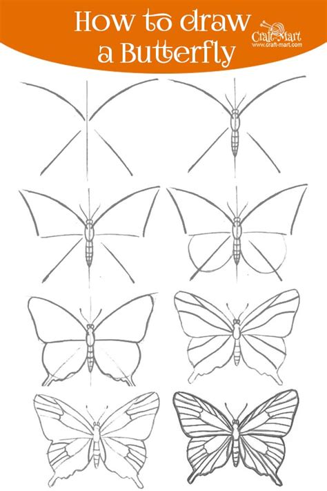 How To Draw A Butterfly For Beginners Butterfly Drawing Butterfly ...