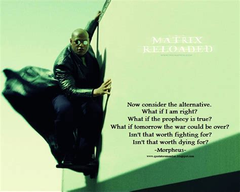 Oracle Matrix Quotes. QuotesGram