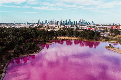 A 2020 Guide To Melbourne's Pink Lake — Collecting Other Places